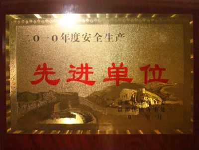 點擊查看詳細信息<br>標(biāo)題：2010年度安全生產(chǎn)先進單位 閱讀次數(shù)：3207